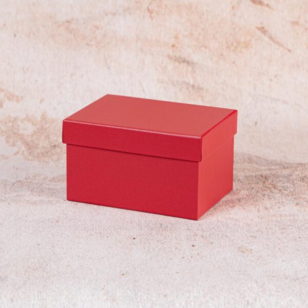Подаръчна кутия/правоъгълна-3