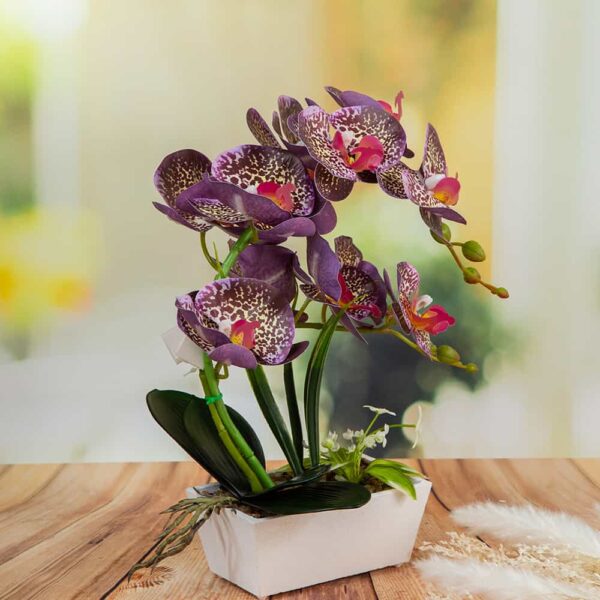Аранжировка - Орхидеи