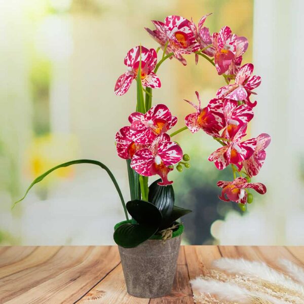 Аранжировка - Орхидея